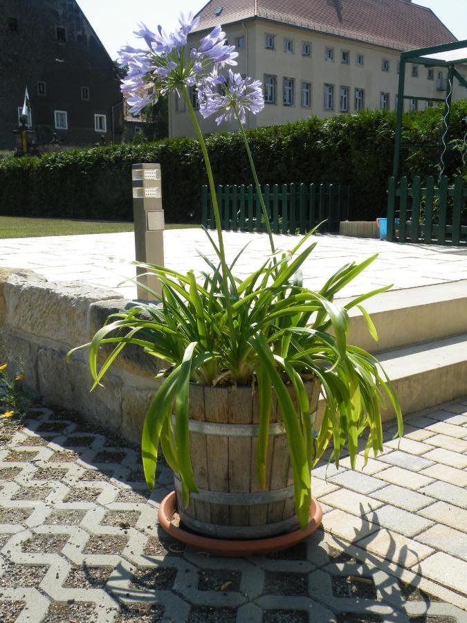 Appartement Kaitzbach-Idylle à Dresde Extérieur photo